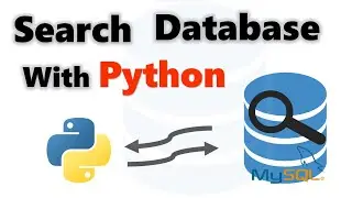 How to retrieve data from database based on user input using Python