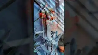 Какая я особа?