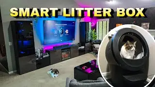 ONE YEAR REVIEW of Litter-Robot 4 by Whisker 🐈🎮 - SAVES US SO MUCH TIME