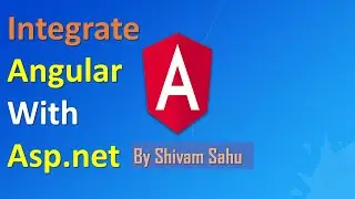 How to integrate angular with asp.net