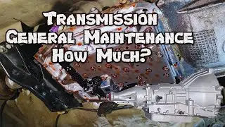 How Much Should It Cost to Service Your Mustang Transmission?