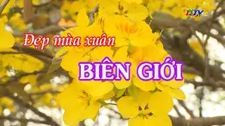 Đẹp mùa Xuân biên giới - 09/02/2024