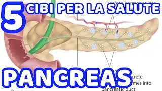 Pancreas: Funzioni Vitali e i 5 Migliori Alimenti per la Sua Salute