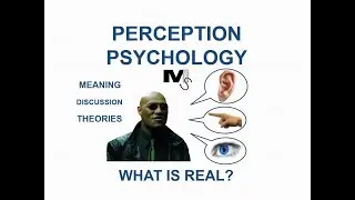 The Psychology of Perception - Simplest Explanation Ever