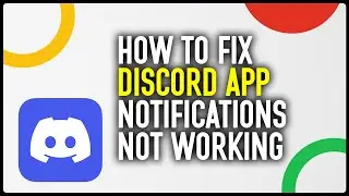 How To Fix Discord App Notifications Not Working