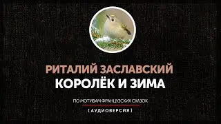 Риталий Заславский -  Таинственная карета