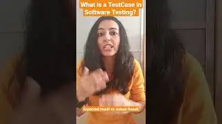 What is a Testcase in Software Testing? 