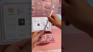 Apple Pencil Case ✨ iPad Accessories | Digital Planning in GoodNotes Planner #shorts