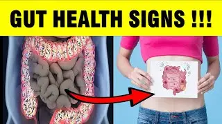 12 Warning Signs Of Unhealthy Gut And How To Improve Gut Health