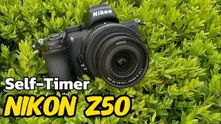 Self-Timer on Nikon Z50: Complete Setup Guide