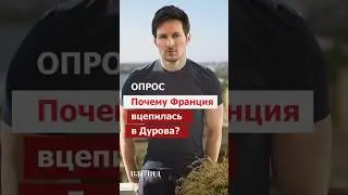 «Какое бы решение он не принял, его будут жестко хейтить».