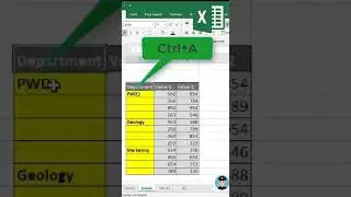 How to fill blank sheet in just 5 sec #excel #power #powerpoint