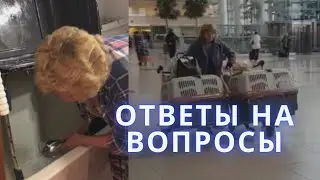 Я, Лара Володина, делаю все, что могу.  И даже больше того! Пожалуйста, не мешайте спасению!