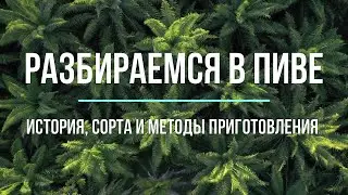 Пиво - что это такое? История создания и разнообразие сортов и видов.