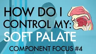 Component Focus #4 - “How Do I Control My Soft Palate?” - Voice Breakdown