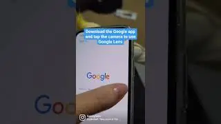 How to use Google Lens to do a visual search. #shorts