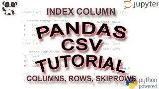 Pandas Read CSV Tutorial: skiprows, usecols, missing data + more