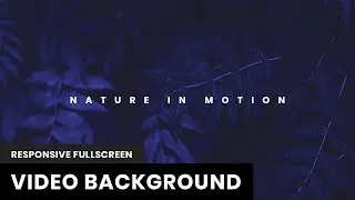 Responsive Fullscreen Video Background | Vide JS | HTML, CSS & JavaScript