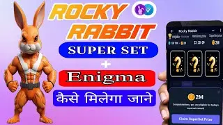 Rocky Rabbit Combo | Rocky Rabbit Super Set | Rocky Rabbit Combo Card 20 August 2024