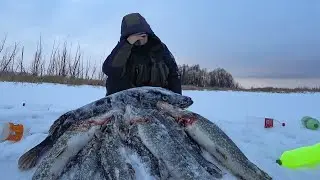 ЭТО ЗАКОННО!? Начал проверять бутылки.. И Был в ШОКЕ! Оставили на ночь бутылки!