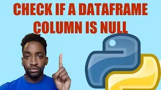 How to Check if a Dataframe Column Has Null Values | 2 Ways in Python