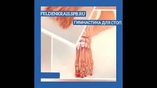 Гимнастика для  стоп. Метод Фельденкрайза. #shortsvideo #shorts #суставнаягимнастика