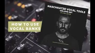 How To Use Vocal Banks