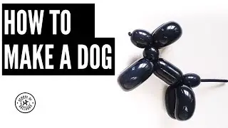 How to Make An Easy Balloon Dog