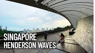 Henderson Waves - Highest Pedestrian Trail Bridge in Singapore | Walking Tour