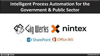 Intelligent Process Automation for the Government and Public Sector