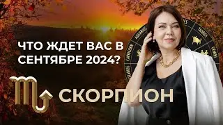 Сентябрь 2024 для Скорпионов: Перемены в Партнерстве и Личной Жизни