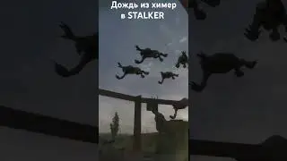 Дождь из химер в Stalker 
