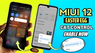 MIUI 12 New Cat Controls Feature Enable Now Xiaomi And Poco Device | MIUI 12 Easter Egg