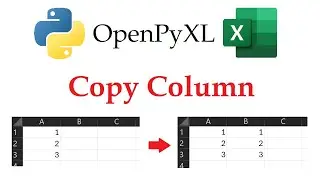 Openpyxl - Copy a Column in Excel Workbooks with Python | Data Automation