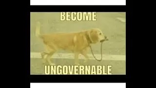 How to Become Ungovernable