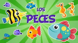 Los Peces 🐟🐠🐡  | Vídeos Educativos para Niños