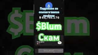BLUM СКАМ! #Blum #notcoin #блум