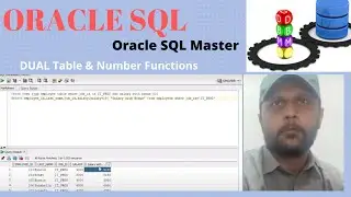 DUAL Table & SQL Numeric Functions |Oracle SQL