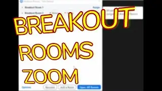 The Zoom Feature That You Need to Know About #zoomtutorial #breakoutrooms