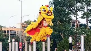 MÚA LÂN Giải Lân Sư Rồng TP Dĩ An Bình Dương 2023, Lsr Hồng Nghệ