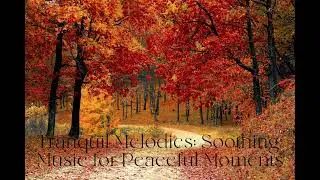 Tranquil Melodies: Soothing Music for Peaceful Moments #calmmusic #healingmusic #peacefulrelaxing