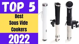 Best Sous Vide Cooker 2023