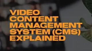 Video Content Management System (CMS) Explained