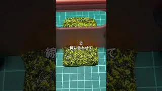 ルールが細かすぎるASMR