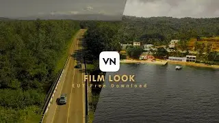 Film Look LUT Free Download | VN VIDEO EDITOR | Premiere Pro | VN Editor Lut