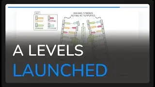 A level launch