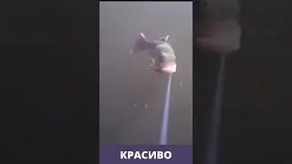 Красивая Атака Щуки. #Shorts