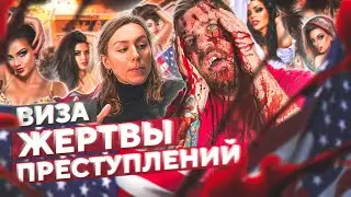 ВИЗА ЖЕРТВЫ преступления / политическое убежище в США 2023 / переезд в США