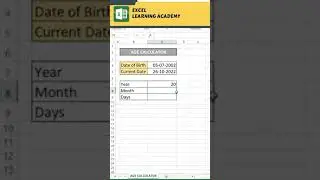 Age Calculator in Excel 