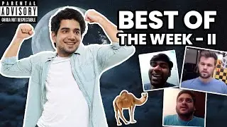 BEST OF THE WEEK COMPILATION #2